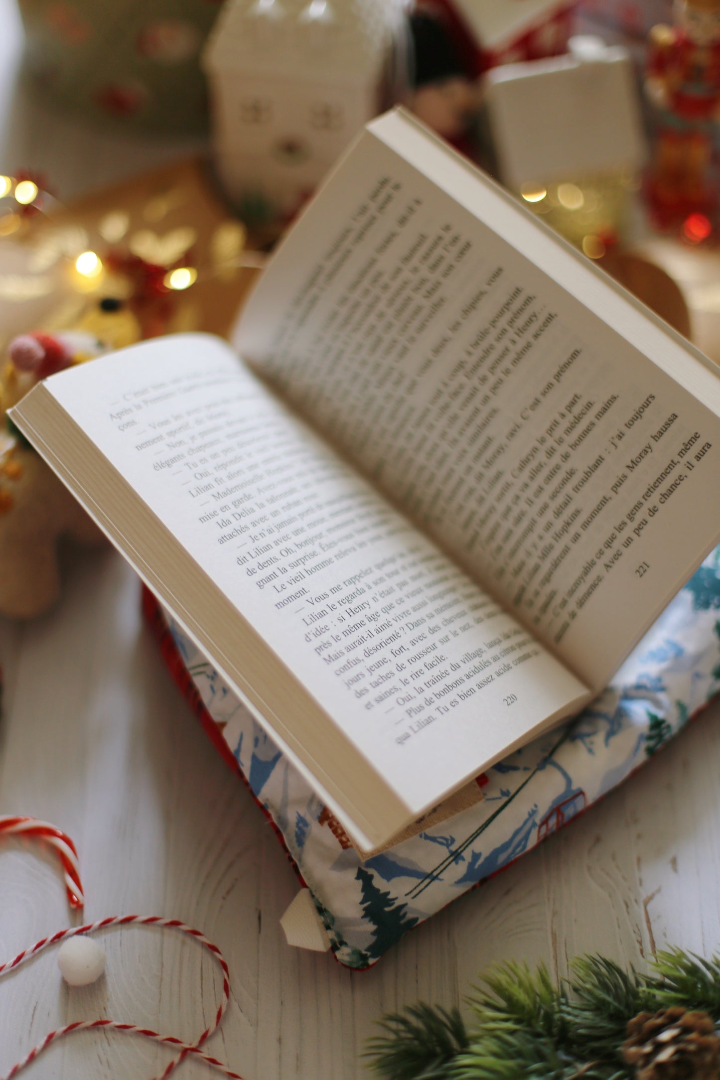 Doucette, coussin de lecture « Nuit de Noël de Guy de Maupassant »