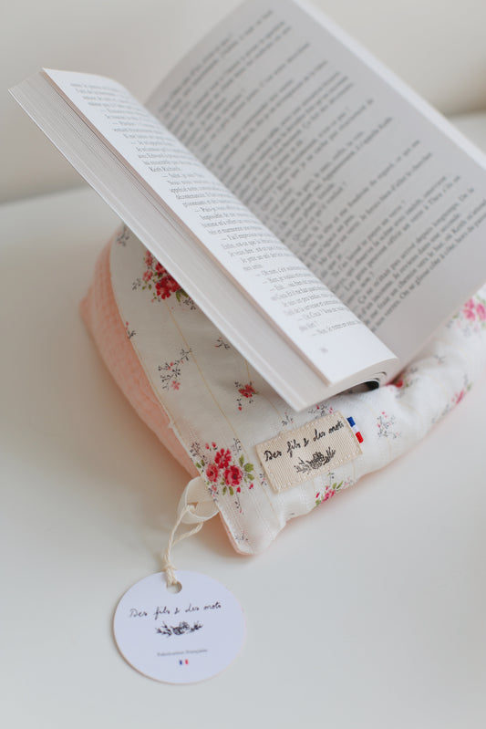 Doucette, coussin de lecture « L'éducation sentimentale de Gustave Flaubert »